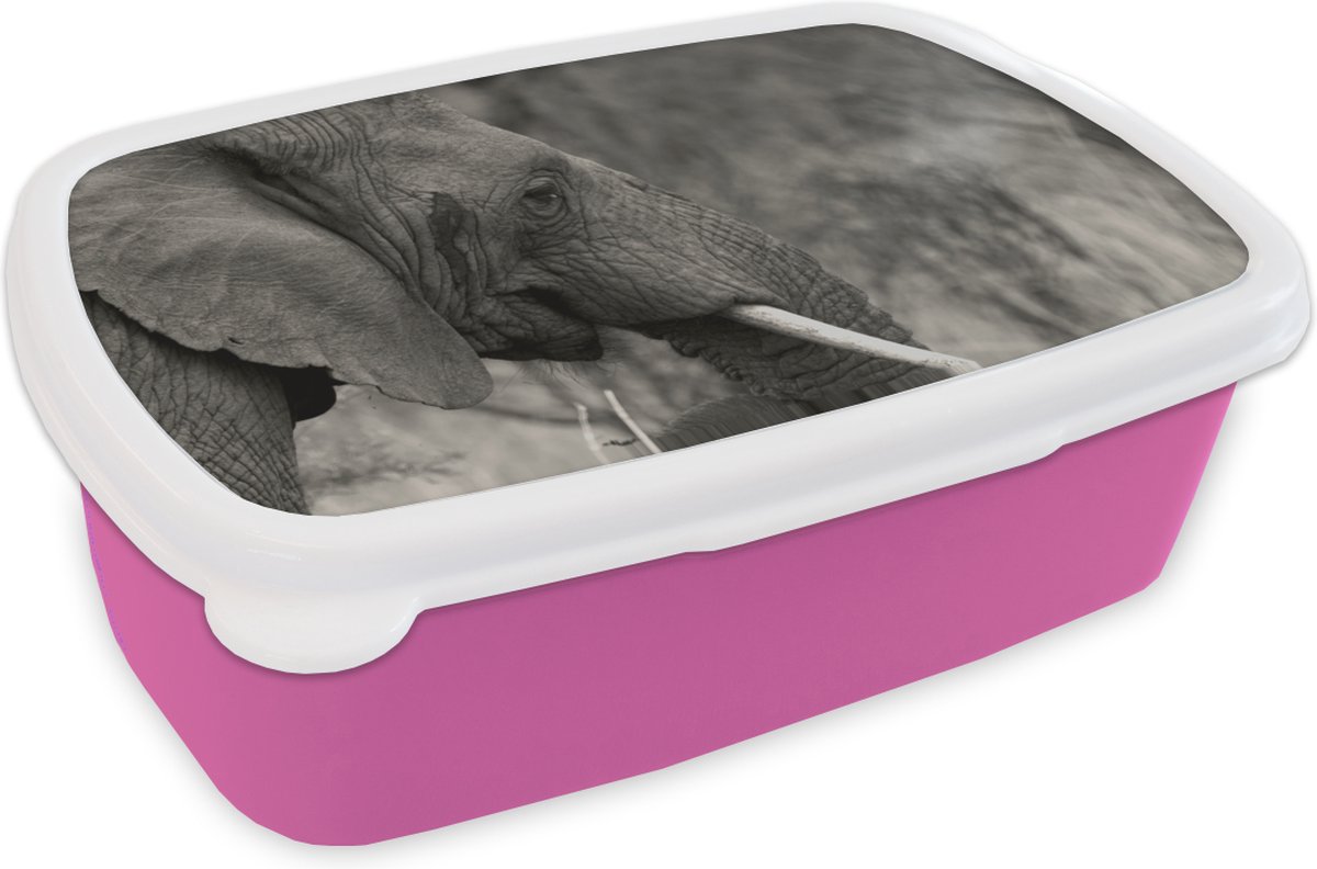 Broodtrommel Roze - Lunchbox - Brooddoos - Zwart-witte olifant - 18x12x6 cm - Kinderen - Meisje