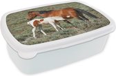 Lunch box Wit - Lunch box - Boîte à pain - Paarden - Poulain - Fleurs - 18x12x6 cm - Adultes