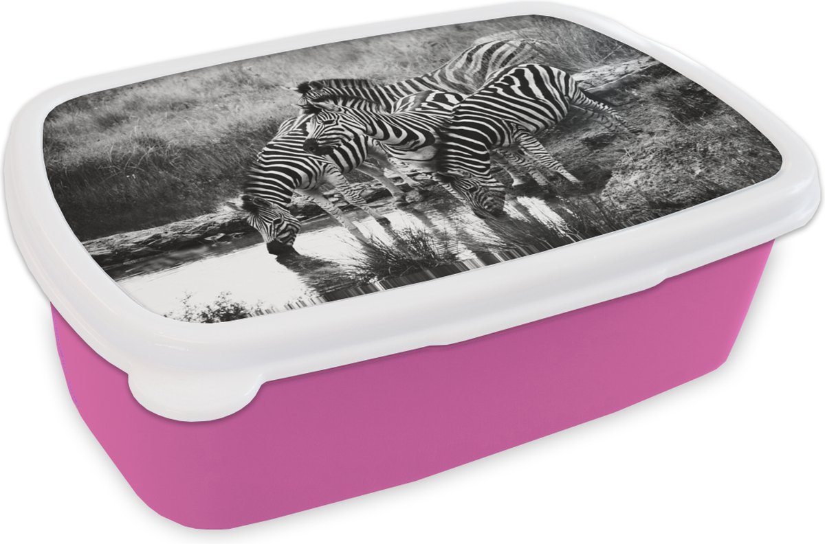 Broodtrommel Roze - Lunchbox - Brooddoos - Drinkende zebra's - 18x12x6 cm - Kinderen - Meisje