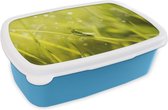 Broodtrommel Blauw - Lunchbox - Brooddoos - Sprinkhaan - Gras - Groen - 18x12x6 cm - Kinderen - Jongen
