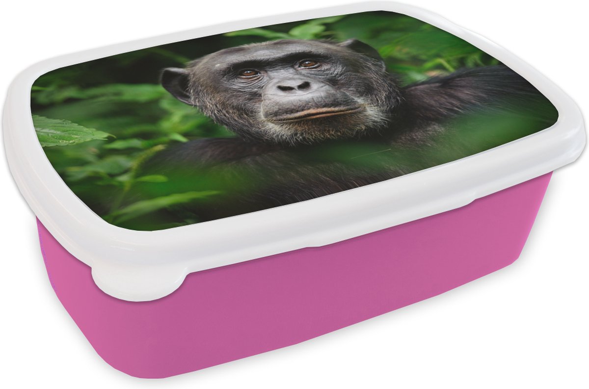 Broodtrommel Roze - Lunchbox - Brooddoos - Aap - Bladeren - Portret - 18x12x6 cm - Kinderen - Meisje