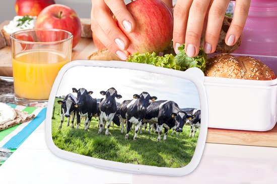 Boîte à pain Wit - Boîte à lunch - Boîte à pain - Vaches - Léger - Printemps - 18x12x6 cm - Adultes - Cadeau Sinterklaas - Distribution de cadeaux pour enfants - Cadeaux chaussures Sinterklaas