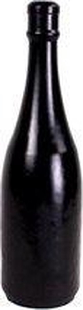 Goedkoopste All Black Buttplug Champagnefles - groot
