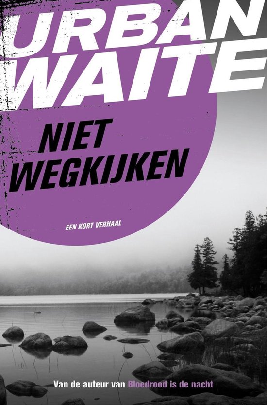Cover van het boek 'Niet wegkijken'