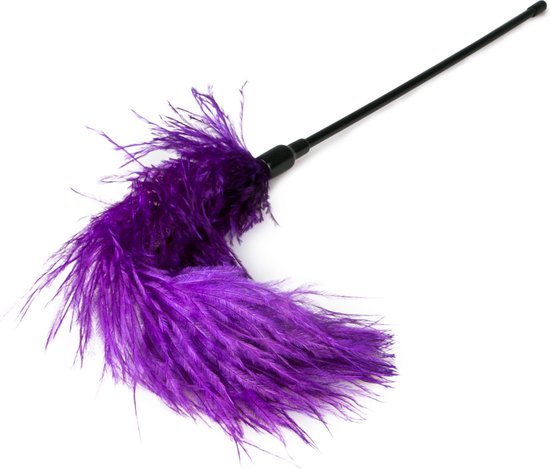Fouet à plumes violet