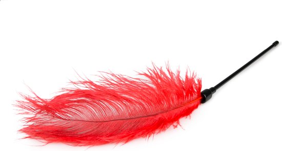 Fouet à plumes rouge