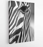 Canvas schilderij - Monochromatic image of a the face of a Grevy's zebra close up.  ly -   130033805 - 80*60 Vertical