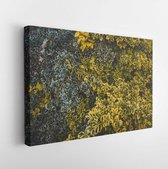 Canvas schilderij - Spindle leafs, leaf ornament. Dark green leaf texture.  -    652962925 - 80*60 Horizontal