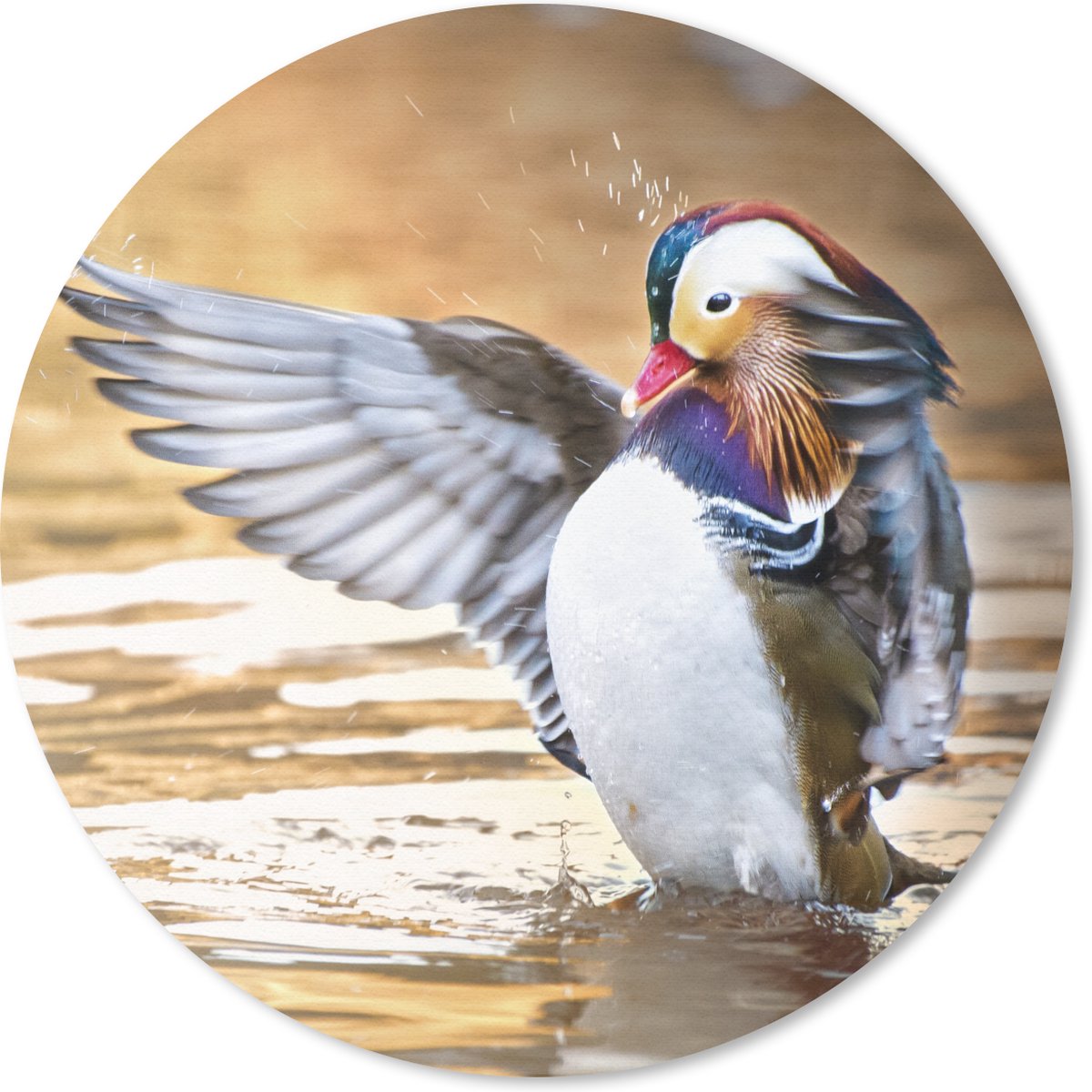 Muismat rond 40x40 cm - Mousepad Eend - Dier - Water - Herfst - Ronde muismatten