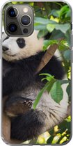 iPhone 12 Pro hoesje - Panda - Dier - Boom - Siliconen Telefoonhoesje