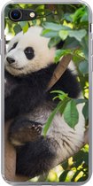 Geschikt voor iPhone 8 hoesje - Panda - Dier - Boom - Siliconen Telefoonhoesje