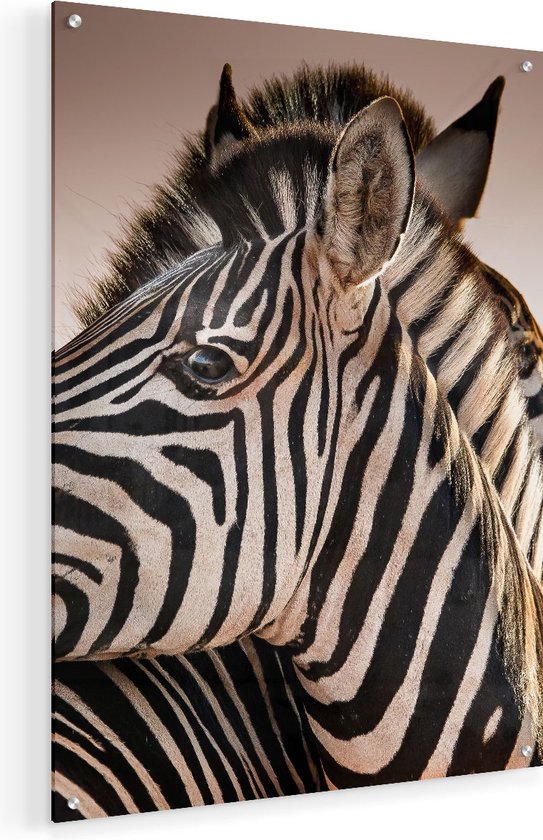 Artaza Glasschilderij - Twee Knuffelende Zebra's  - 45x60 - Plexiglas Schilderij - Foto op Glas