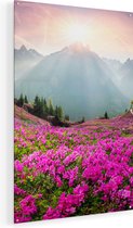 Artaza Glasschilderij - Rhododendron Bloemenveld In De Alpen - 90x135 - Groot - Plexiglas Schilderij - Foto op Glas