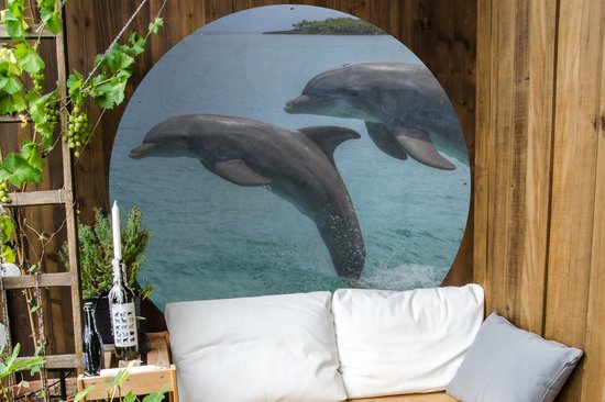 Garden Circle Dauphins pour les îles de la Baie - 150x150 cm - Poster de jardin rond - Extérieur
