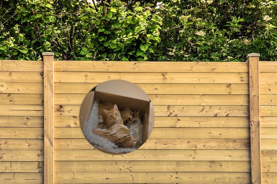 Garden Circle Cat - Boîte - Rouge - 90x90 cm - Affiche de Jardin Ronde - Extérieur