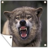 Posters de jardin Loup - Bec - Dents - 50x50 cm - Toile de jardin - Affiche extérieure