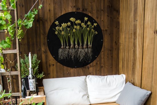 Tuincirkel Meerder narcissen met bollen op een zwarte achtergrond - 90x90 cm - Ronde Tuinposter - Buiten