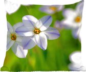 Coussins Coussins décoratifs - Oreillers Salon - 45x45 cm - Fleurs - Jardin - Violet