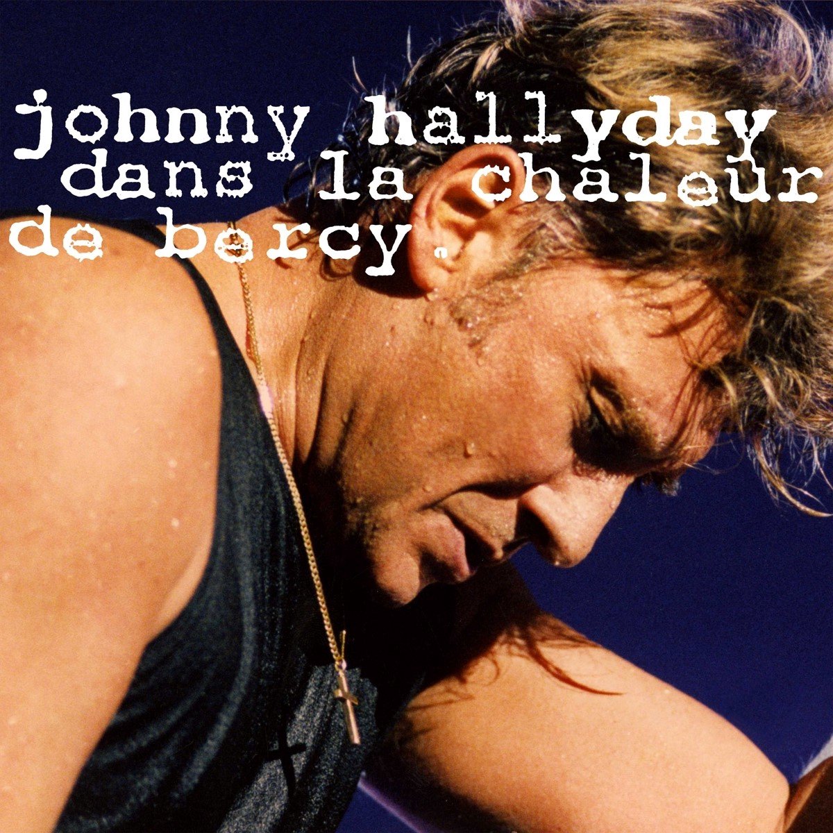 Johnny Hallyday - Dans la Chaleur de Bercy (2 LP) (Limited Edition) (Coloured Vinyl)