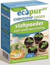 BSI - Ecopur Chryzotop Groen Stekpoeder - Kamerplanten - Stekpoeder voor een betere wortelvorming bij planten - Plantenverzorging - 25 g