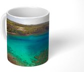 Mok - Uitzicht op de Honolua baai in Maui, Hawaii - 350 ML - Beker