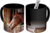 Magische Mok - Foto op Warmte Mok - Paard - Stal - Zon - 350 ML