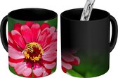 Magische Mok - Foto op Warmte Mok - Roze zinnia bloem met een bij erop - 350 ML