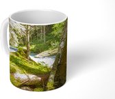 Mok - Rivierbedding in de bossen van het Nationaal park Hohe Tauern - 350 ML - Beker