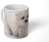 Mok - Koffiemok - Schattige kleine Maltezer hond - Mokken - 350 ML - Beker - Koffiemokken - Theemok