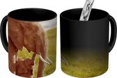 Magische Mok - Foto op Warmte Mokken - Koffiemok - Olifant - Gras - Jong - Slurf - Magic Mok - Beker - 350 ML - Theemok
