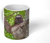 Mok - Koffiemok - Een luiaard klimt in een boom in een groene omgeving - Mokken - 350 ML - Beker - Koffiemokken - Theemok