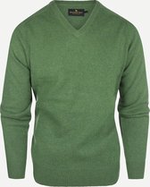 Steppin' Out Herfst/Winter 2021 Trui Lamswol Vneck Mannen - Regular Fit - Wol - Groen (M)