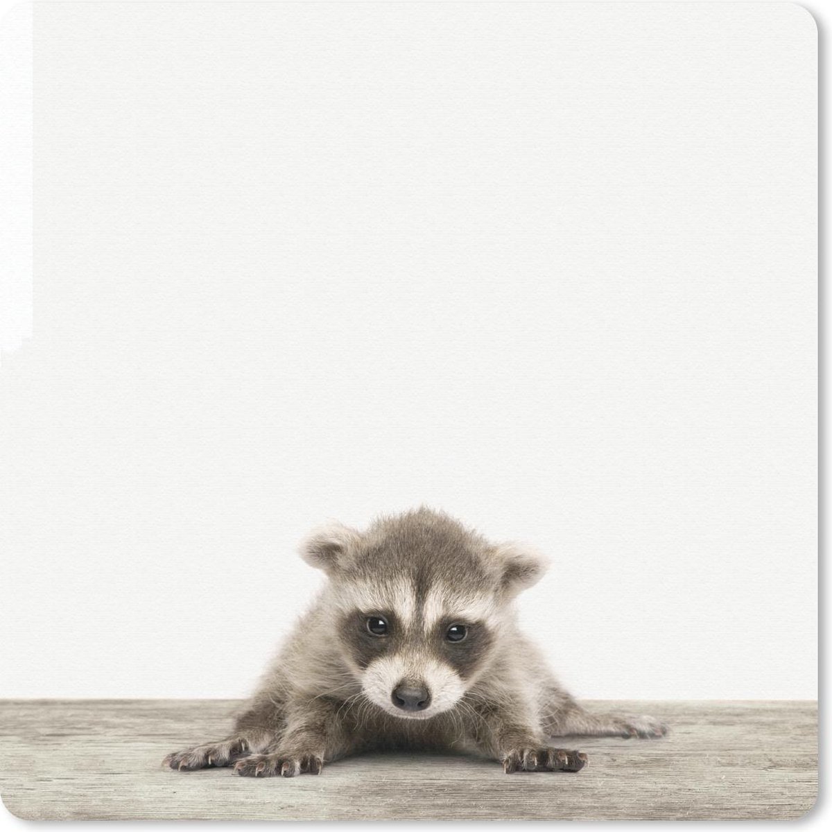 Muismat 30x30 cm - Mousepad Dieren - Wasbeer - Wit - Baby - Muismatten