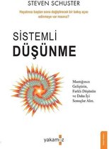 Sistemli Düşünme