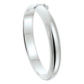 Bangle Scharnier Bolle Buis 10 X 60 Mm