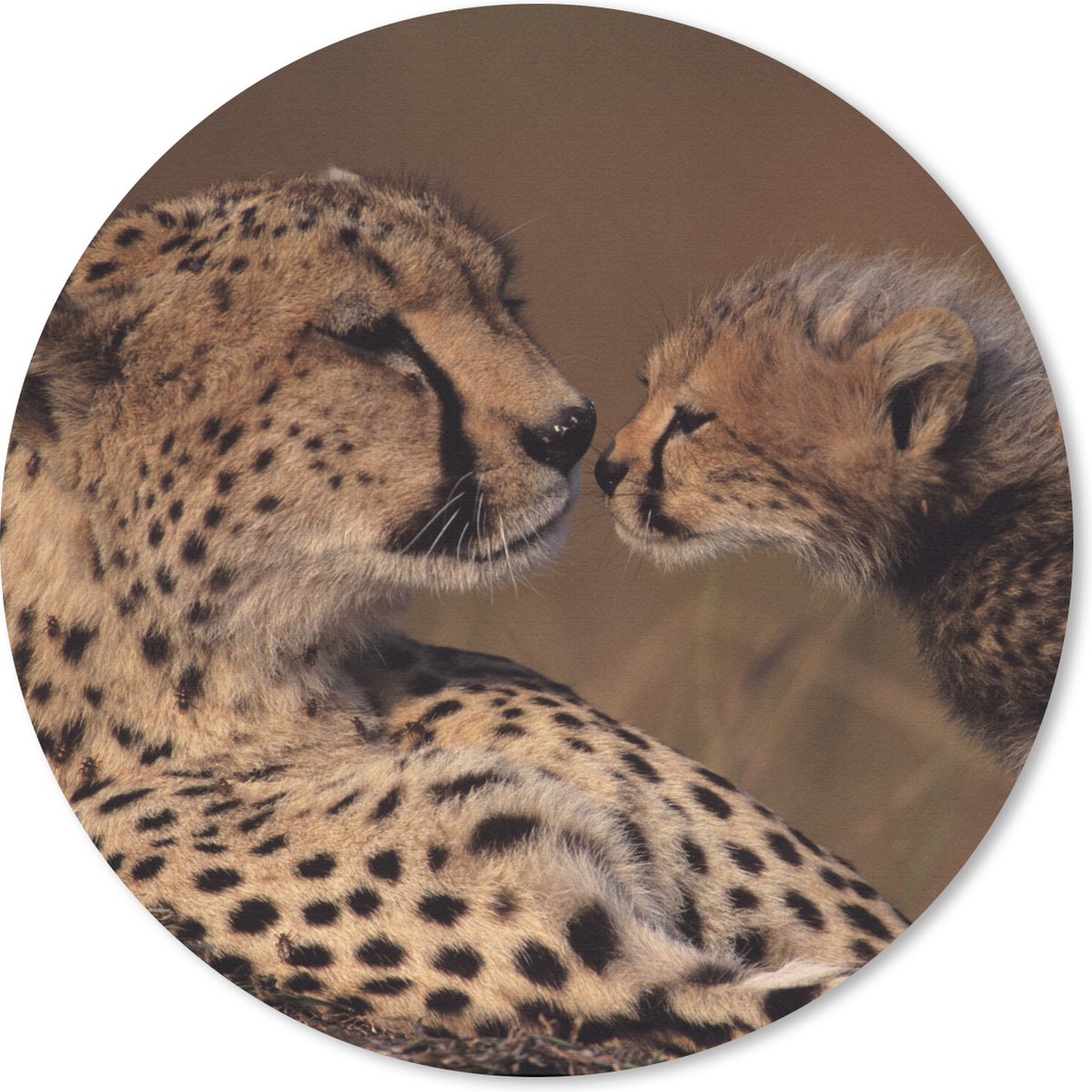 Muismat rond 30x30 cm - Mousepad Cheeta moeder en welp - Ronde muismatten