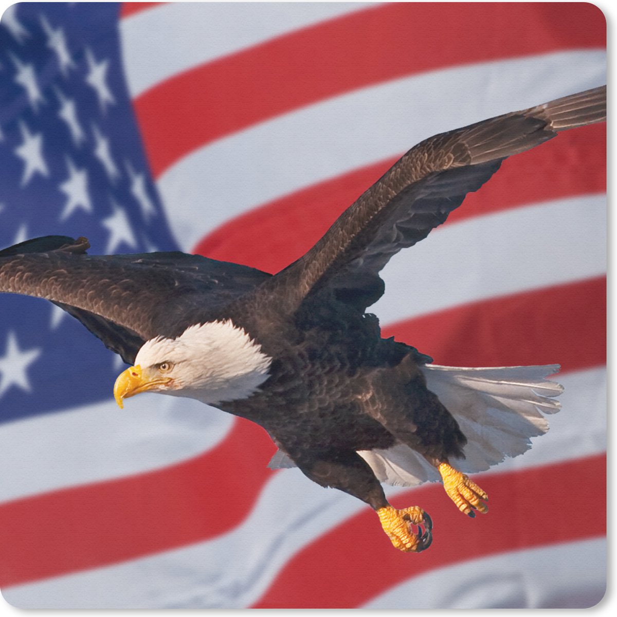 Muismat 20x20 cm - Mousepad Amerikaanse zeearend voor de Amerikaanse vlag - Muismatten