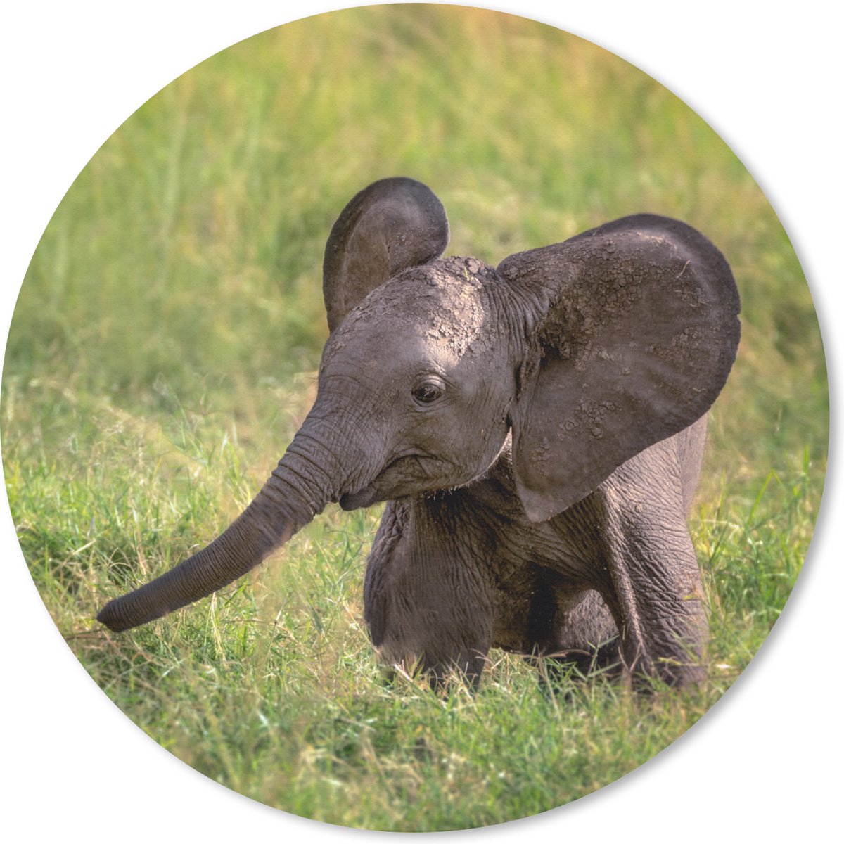 Muismat rond 30x30 cm - Mousepad Olifant - Baby - Kalf - Ronde muismatten