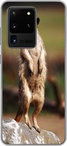 Geschikt voor Samsung Galaxy S20 Ultra hoesje - Stokstaartje - Dier - Wild - Siliconen Telefoonhoesje