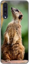Geschikt voor Samsung Galaxy A50 hoesje - Stokstaartje - Dier - Rots - Siliconen Telefoonhoesje