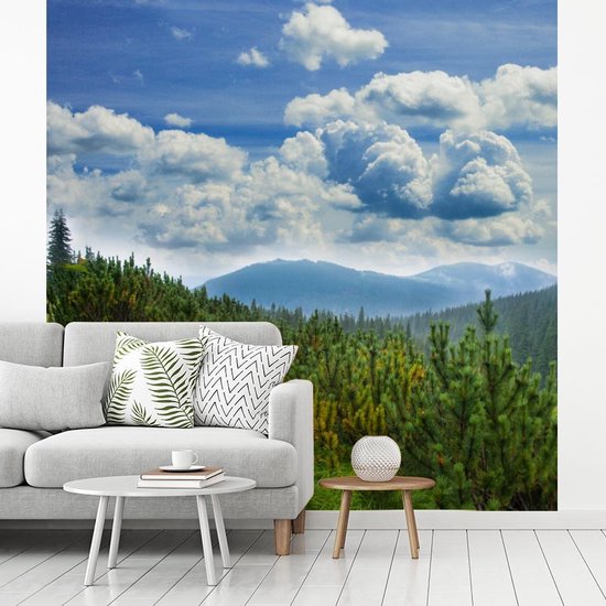 Papier peint - Papiers Papier peint photo Forêt - Chemin - Berg - Largeur 220 cm x Hauteur 220 cm