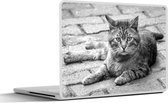 Sticker ordinateur portable - 17,3 pouces - Chat - Animal - Marron - Filles - Enfants - Garçons - Enfant