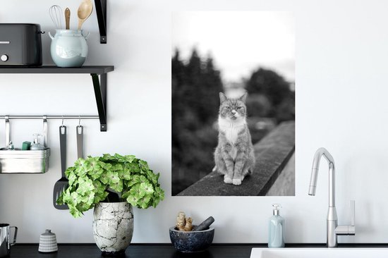 Stickers muraux - Film autocollant - Chat - Balcon - Forêt - Filles - Enfants - Garçons - Kids - 40x60 cm - Film adhésif - Stickers muraux Chambre d'enfant - Papier peint autocollant