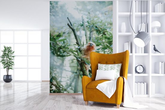 Papier Peint - Papier peint photo Marmotte Pygmée dans un Arbre - Largeur 200 cm x Hauteur 300 cm