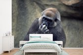 Behang - Fotobehang Schattige Gorilla krabt in zijn neus - Breedte 525 cm x hoogte 350 cm