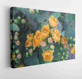 Canvas schilderij - Cactus desert flower nature garden  -     1480661183 - 40*30 Horizontal