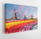 Canvas schilderij - Landscape with tulips, traditional dutch windmills and houses near the canal in Zaanse Schans, Netherlands, Europe - 1052324327 - 80*60 Horizontal