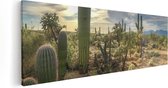 Artaza Canvas Schilderij Cactus Planten in het Wild - 90x30 - Foto Op Canvas - Canvas Print