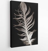 Canvas schilderij - Feather on a black background  -   246075502 - 40-30 Vertical