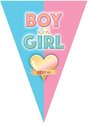 Gender reveal babyshower thema vlaggetjes slinger/vlaggenlijn van 5 meter met 10 puntvlaggetjes - Feestartikelen/versiering